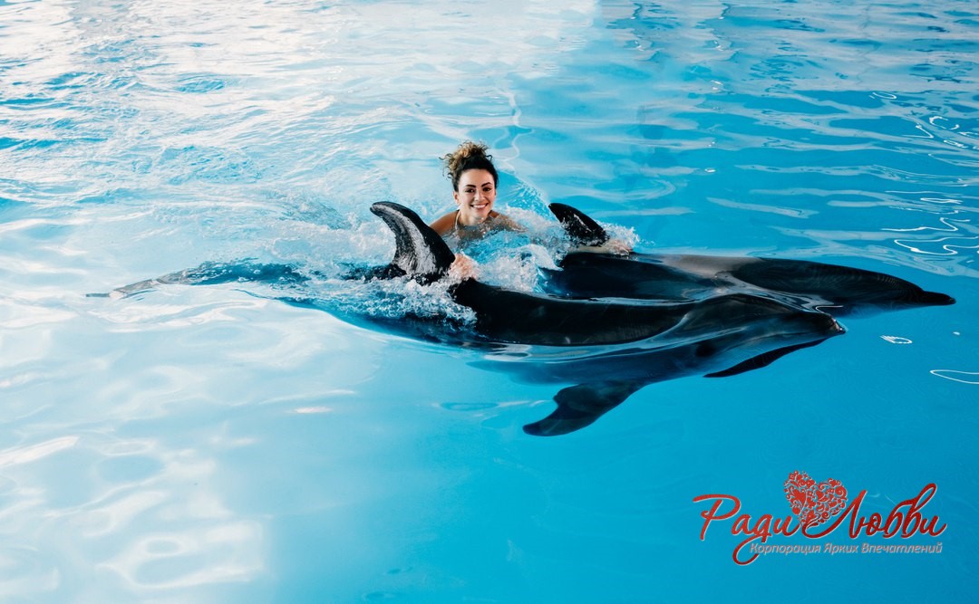 plavanie s delfinami 5